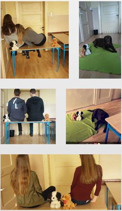 dog days