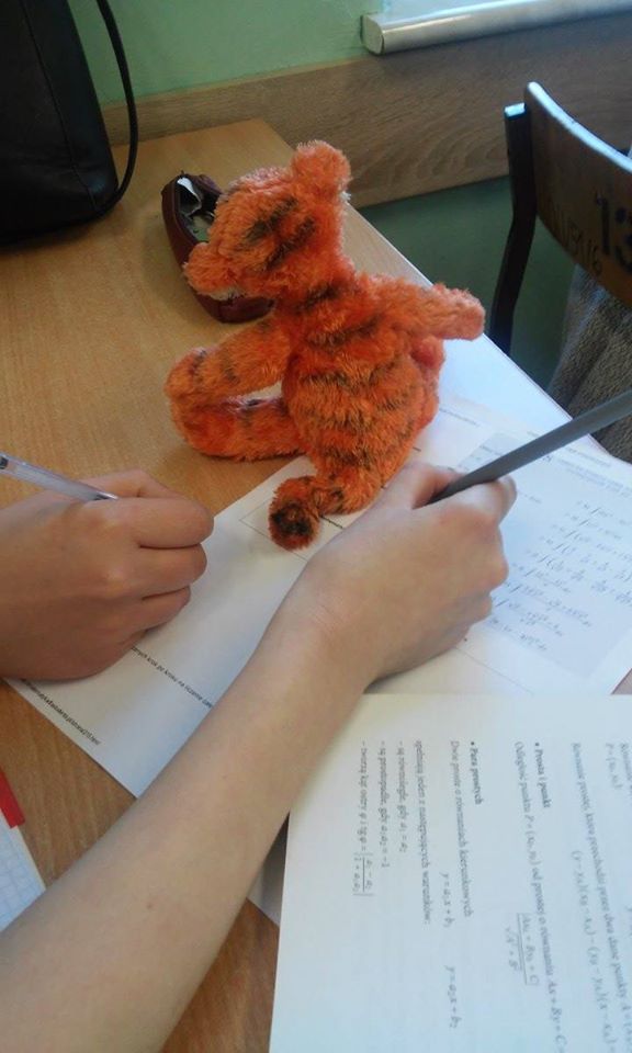 to have a tiger by the tail