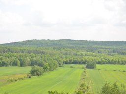 dsc_0684