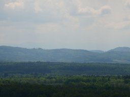dsc_0722