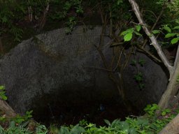 dsc_1019
