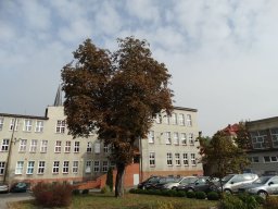 dsc02646