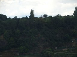 dsc06766